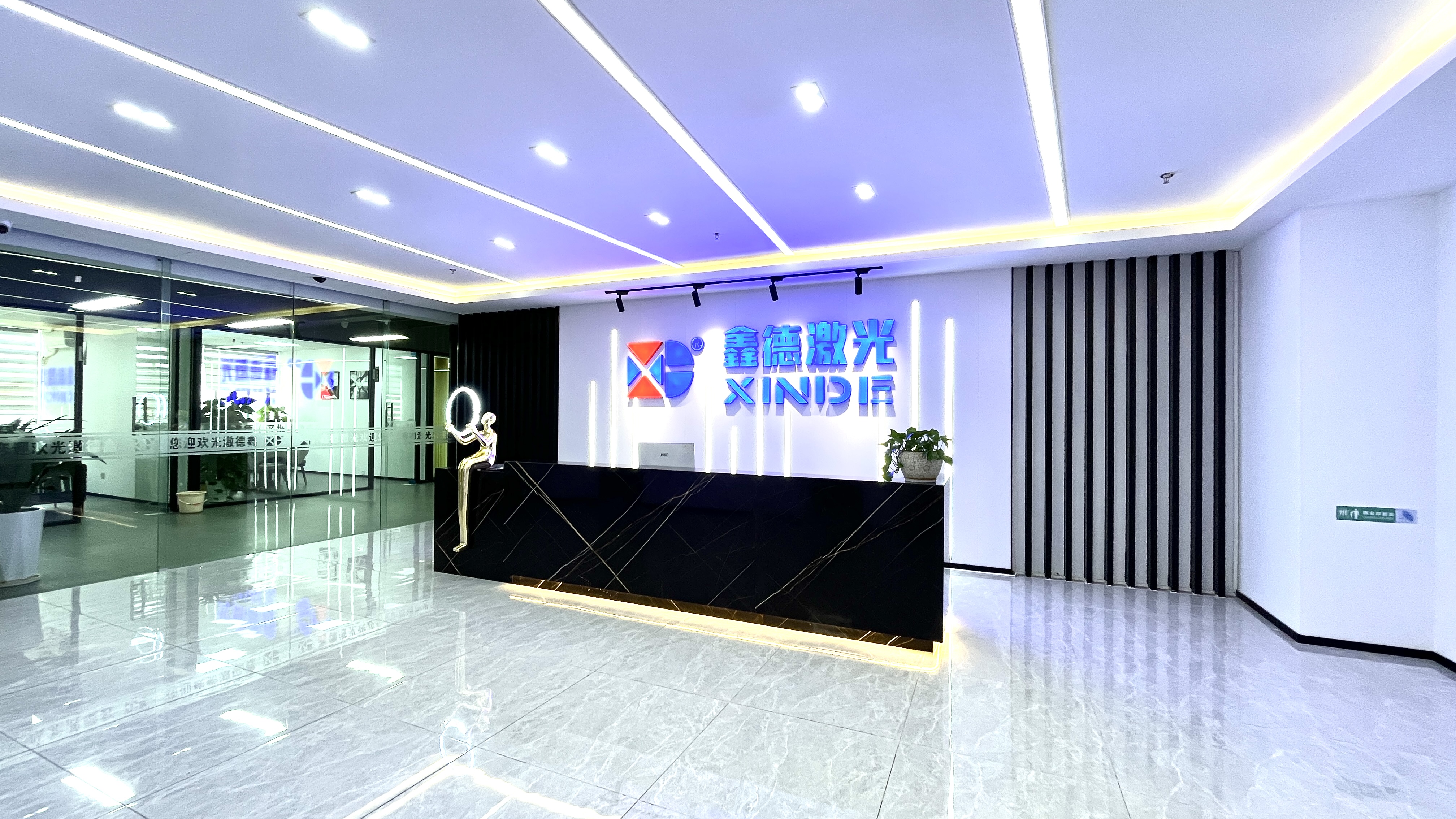About the Company